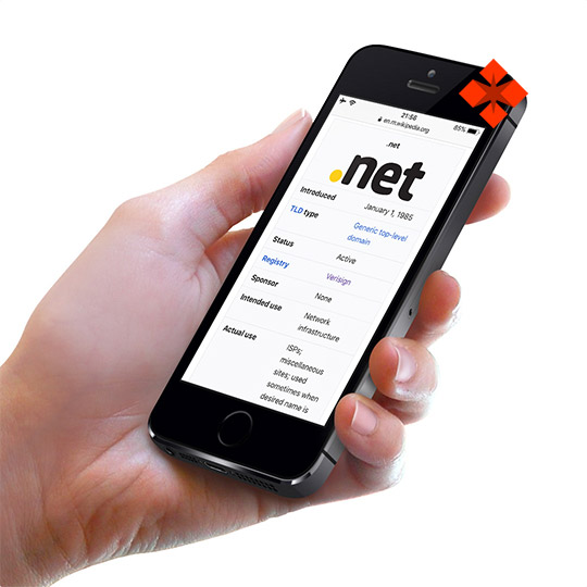  Dominio NET